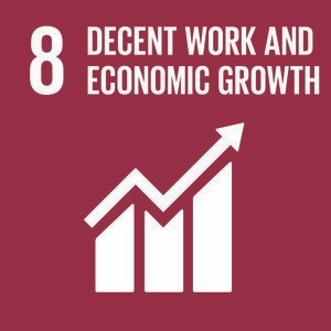 sdg 1