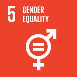 sdg 1