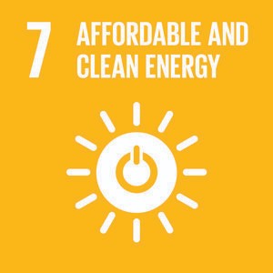 sdg 1