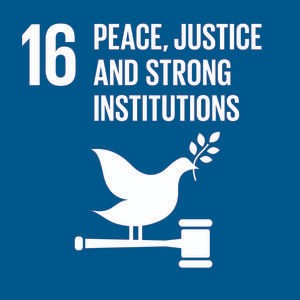 sdg 1