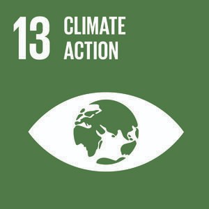 sdg 1